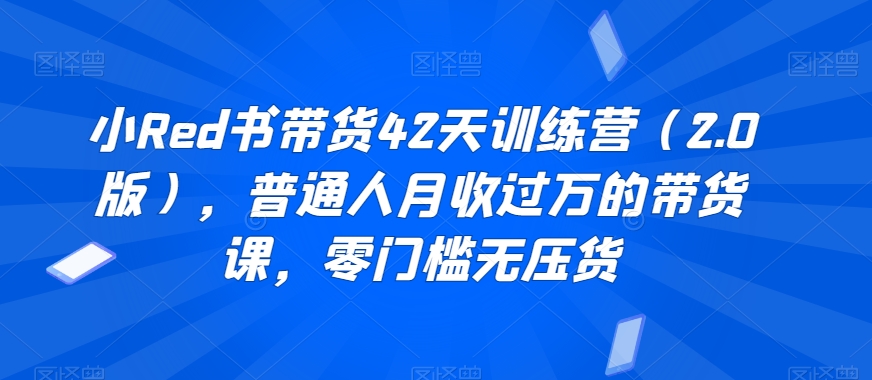 小Red书带货42天训练营（2.0版），普通人月收过万的带货课，零门槛无压货-闪越社