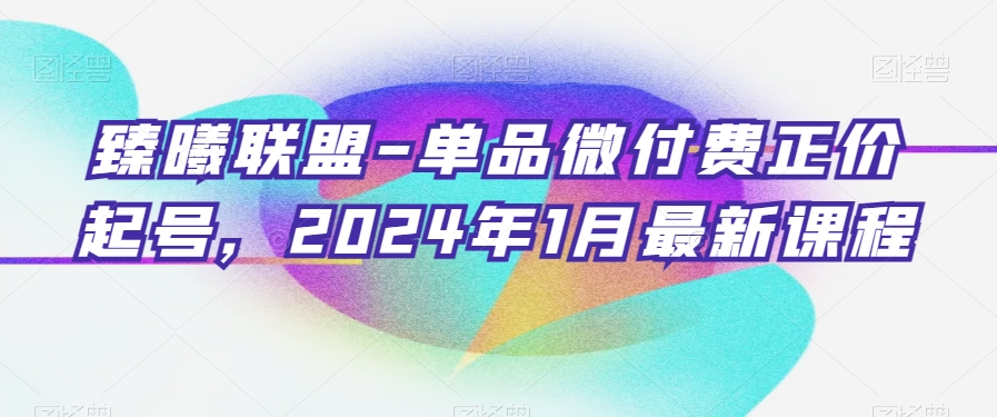 臻曦联盟-单品微付费正价起号，2024年1月最新课程-闪越社