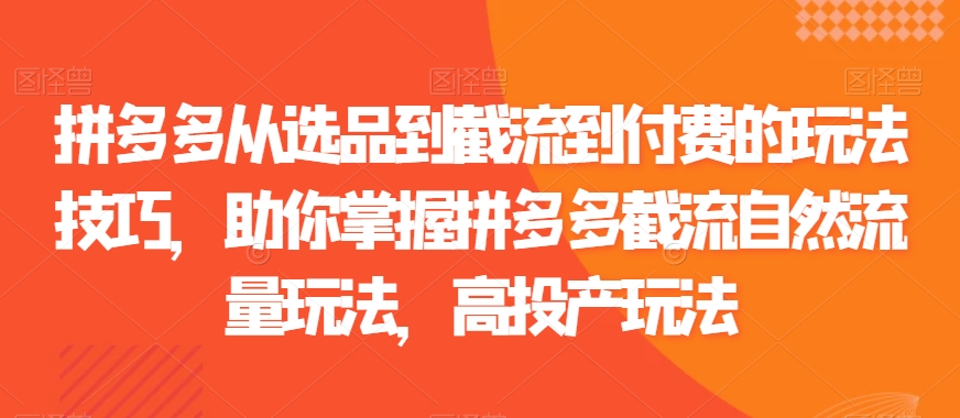 拼多多从选品到截流到付费的玩法技巧，助你掌握拼多多截流自然流量玩法，高投产玩法-闪越社