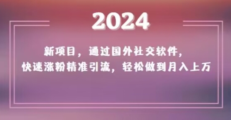 2024新项目，通过国外社交软件，快速涨粉精准引流，轻松做到月入上万【揭秘】-闪越社