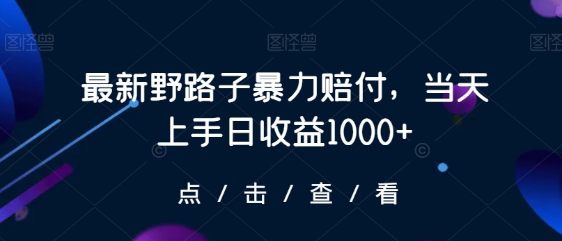 最新野路子暴力赔付，当天上手日收益1000+【仅揭秘】-闪越社