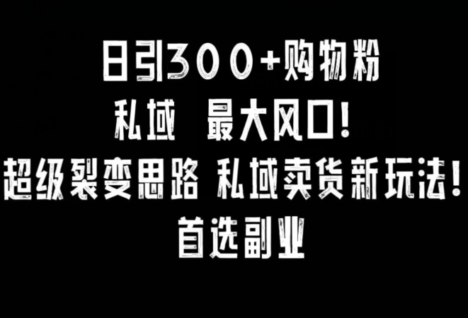 日引300+购物粉，超级裂变思路，私域卖货新玩法，小红书首选副业【揭秘】-闪越社