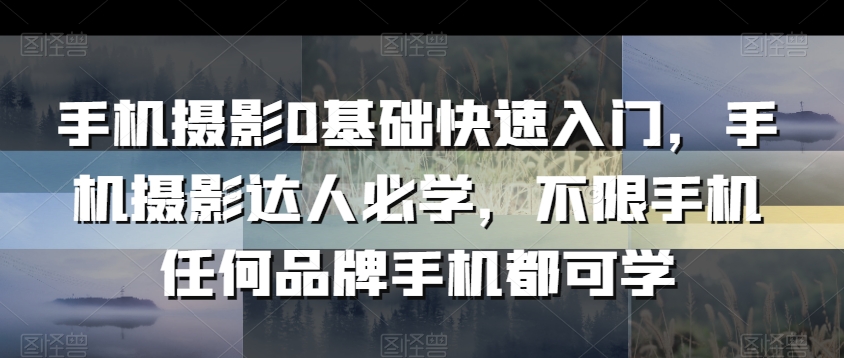 手机摄影0基础快速入门，手机摄影达人必学，不限手机任何品牌手机都可学-闪越社