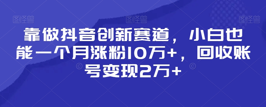 靠做抖音创新赛道，小白也能一个月涨粉10万+，回收账号变现2万+【揭秘】-闪越社