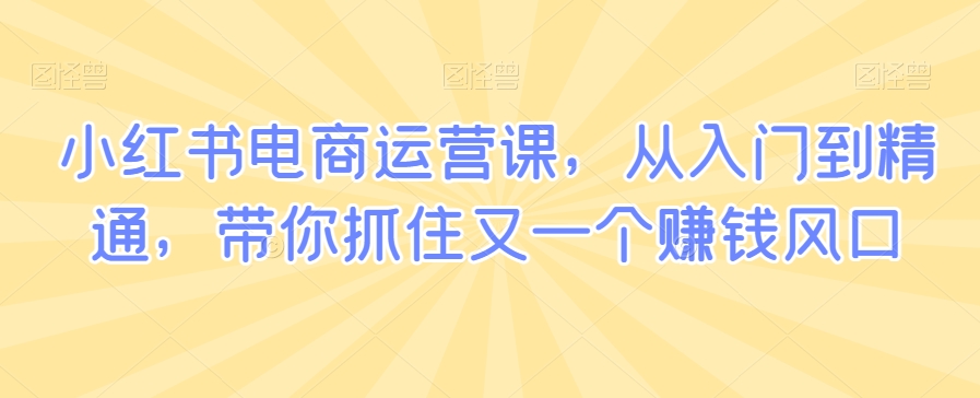 小红书电商运营课，从入门到精通，带你抓住又一个赚钱风口-闪越社