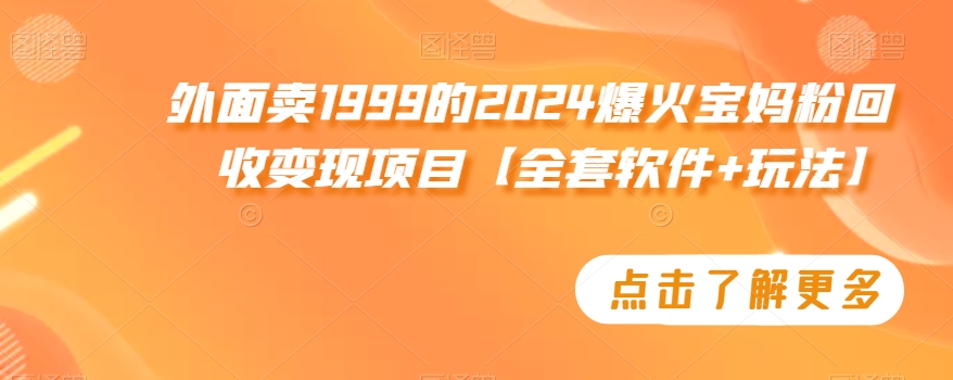 外面卖1999的2024爆火宝妈粉回收变现项目【全套软件+玩法】【揭秘】-闪越社