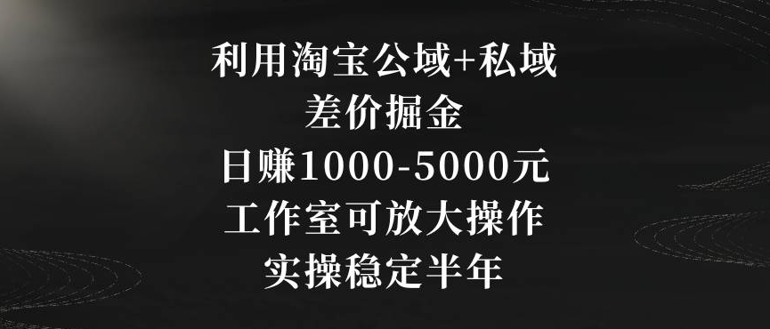 利用淘宝公域+私域差价掘金，日赚1000-5000元，工作室可放大操作，实操稳定半年【揭秘】-闪越社