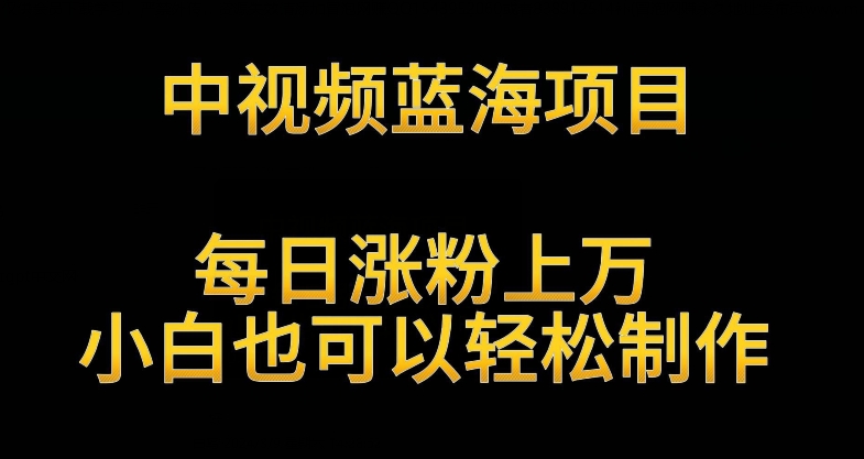 中视频蓝海项目，解读英雄人物生平，每日涨粉上万，小白也可以轻松制作，月入过万不是梦【揭秘】-闪越社