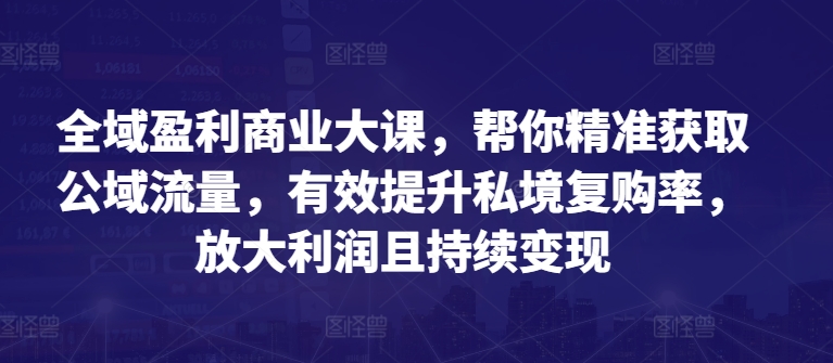 全域盈利商业大课，帮你精准获取公域流量，有效提升私境复购率，放大利润且持续变现-闪越社