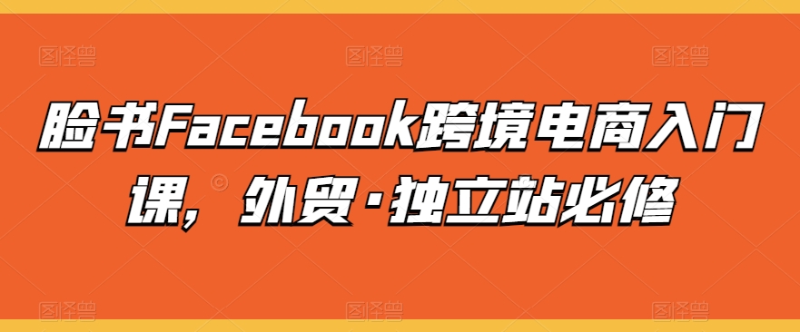 脸书Facebook跨境电商入门课，外贸·独立站必修-闪越社