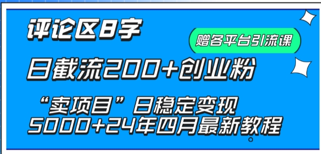 抖音评论区8字日截流200+创业粉 “卖项目”日稳定变现5000+【揭秘】-闪越社