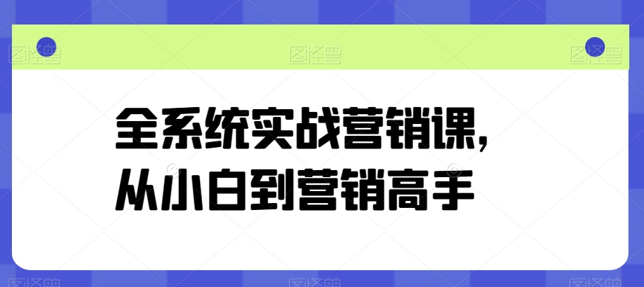 全系统实战营销课，从小白到营销高手-闪越社