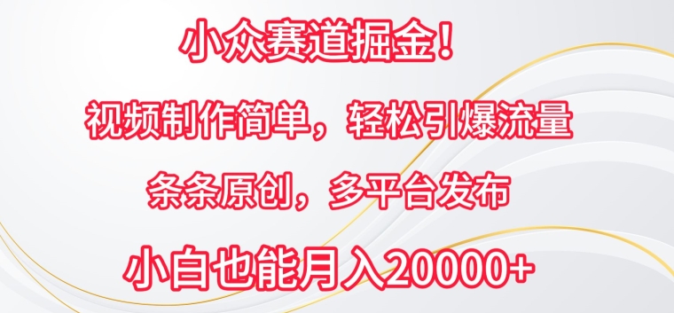 小众赛道掘金，视频制作简单，轻松引爆流量，条条原创，多平台发布【揭秘】-闪越社