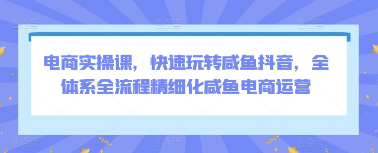 电商实操课，快速玩转咸鱼抖音，全体系全流程精细化咸鱼电商运营-闪越社