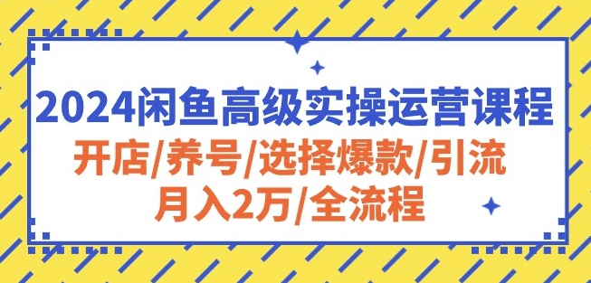 2024闲鱼高级实操运营课程：开店/养号/选择爆款/引流/月入2万/全流程-闪越社