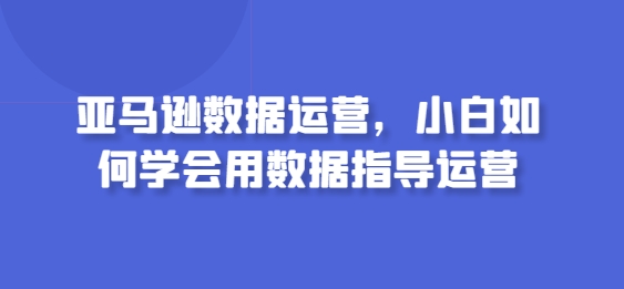 亚马逊数据运营，小白如何学会用数据指导运营-闪越社