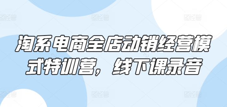 淘系电商全店动销经营模式特训营，线下课录音-闪越社