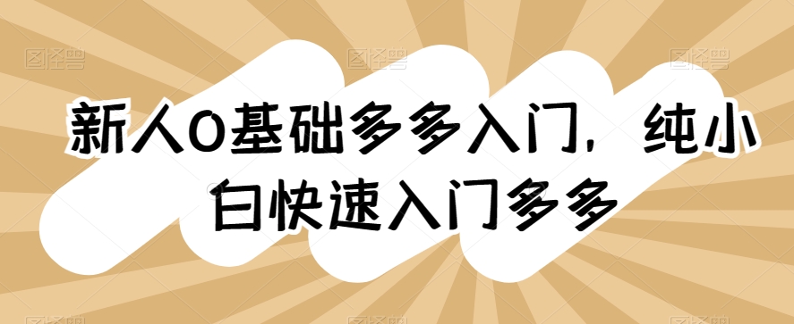 新人0基础多多入门，​纯小白快速入门多多-闪越社