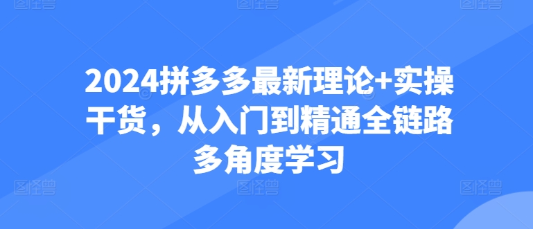 2024拼多多最新理论+实操干货，从入门到精通全链路多角度学习-闪越社