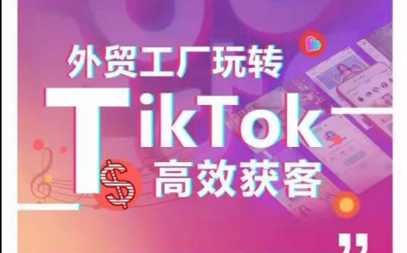 外贸工厂玩转TikTok高效获客，多种引流方式与账号定位技巧，拆解爆款短视频打造成功案例-闪越社