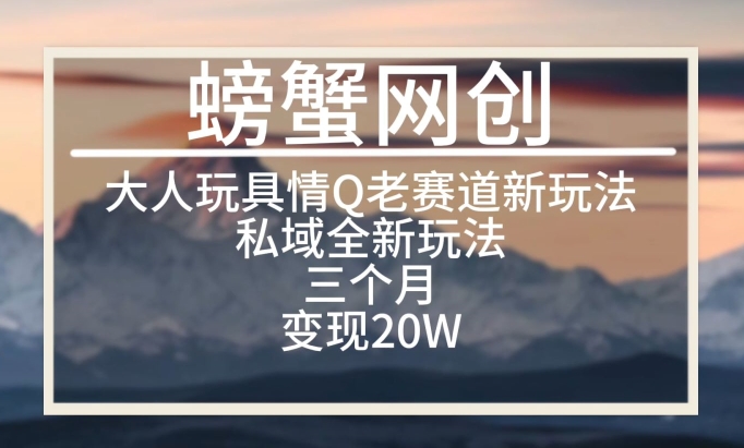 大人玩具情Q用品赛道私域全新玩法，三个月变现20W，老项目新思路【揭秘】-闪越社