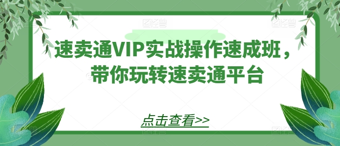 速卖通VIP实战操作速成班，带你玩转速卖通平台-闪越社