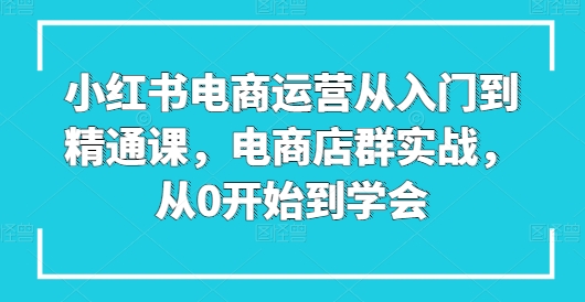 小红书电商运营从入门到精通课，电商店群实战，从0开始到学会-闪越社