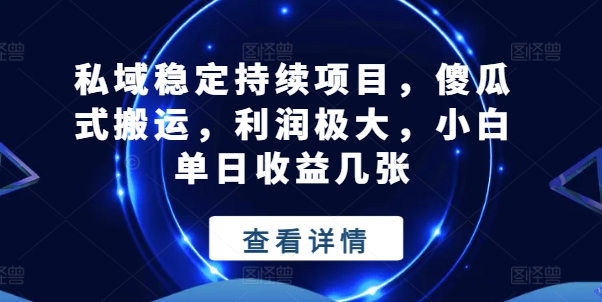 私域稳定持续项目，傻瓜式搬运，利润极大，小白单日收益几张【揭秘】-闪越社