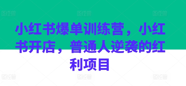 小红书爆单训练营，小红书开店，普通人逆袭的红利项目-闪越社