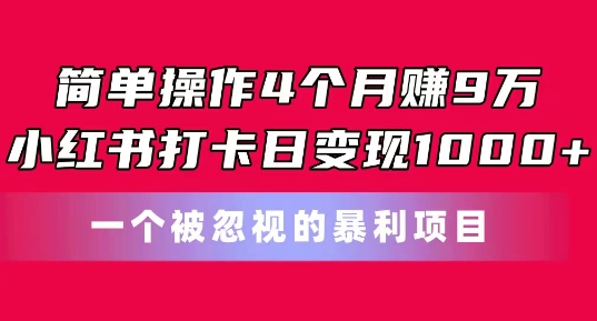 简单操作4个月赚9w，小红书打卡日变现1k，一个被忽视的暴力项目【揭秘】-闪越社