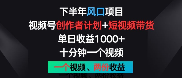 下半年风口项目，视频号创作者计划+视频带货，一个视频两份收益，十分钟一个视频【揭秘】-闪越社