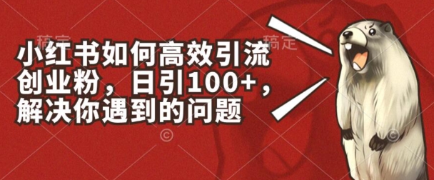 小红书如何高效引流创业粉，日引100+，解决你遇到的问题【揭秘】-闪越社