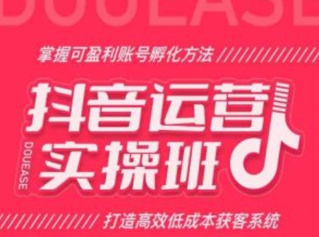 抖音运营实操班，掌握可盈利账号孵化方法，打造高效低成本获客系统-闪越社