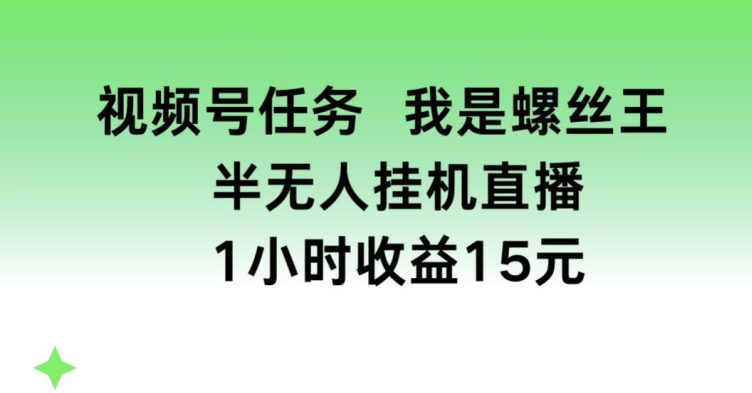 视频号任务，我是螺丝王， 半无人挂机1小时收益15元【揭秘】-闪越社