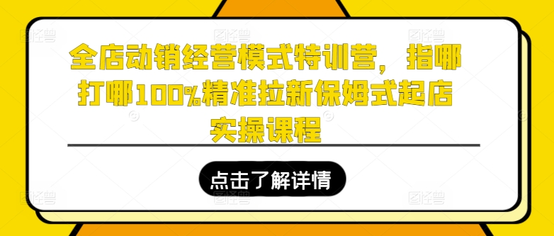 全店动销经营模式特训营，指哪打哪100%精准拉新保姆式起店实操课程-闪越社