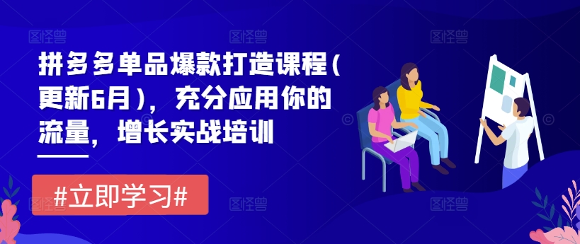 拼多多单品爆款打造课程(更新6月)，充分应用你的流量，增长实战培训-闪越社