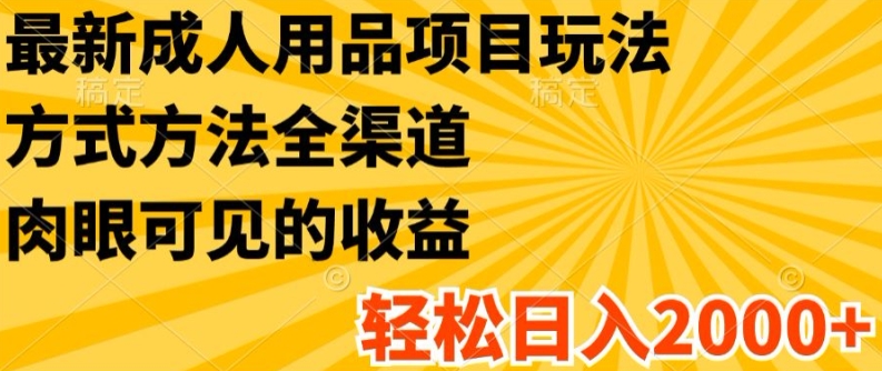 最新成人用品项目玩法，方式方法全渠道，轻松日入2K+【揭秘】-闪越社