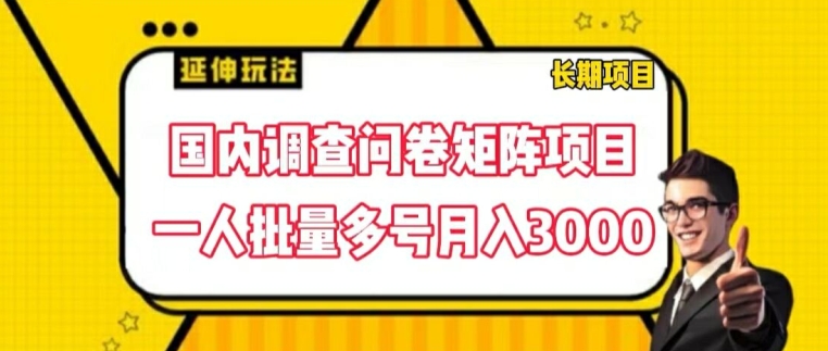 国内调查问卷矩阵项目，一人批量多号月入3000【揭秘】-闪越社