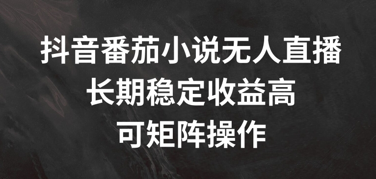 抖音番茄小说无人直播，长期稳定收益高，可矩阵操作【揭秘】-闪越社