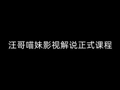 汪哥影视解说正式课程：剪映/PR教学/视解说剪辑5大黄金法则/全流程剪辑7把利器等等-闪越社