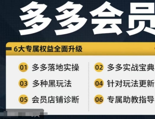 拼多多会员，拼多多实战宝典+实战落地实操，从新手到高阶内容全面覆盖-闪越社