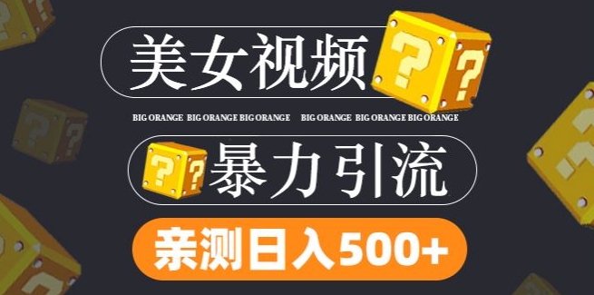 搬运tk美女视频全网分发，日引s粉300+，轻松变现，不限流量不封号【揭秘】-闪越社