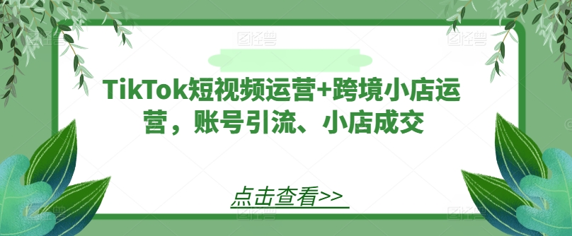 TikTok短视频运营+跨境小店运营，账号引流、小店成交-闪越社