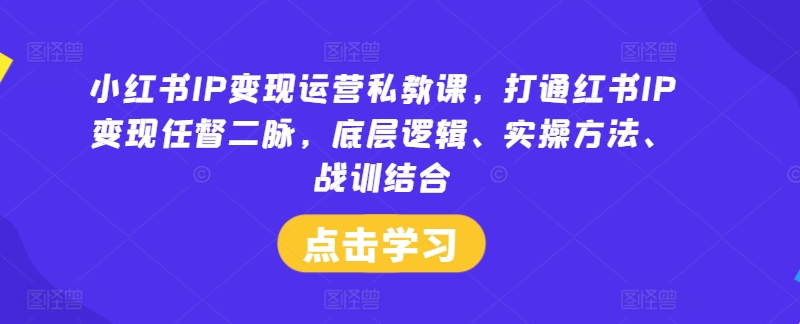 小红书IP变现运营私教课，打通红书IP变现任督二脉，底层逻辑、实操方法、战训结合-闪越社