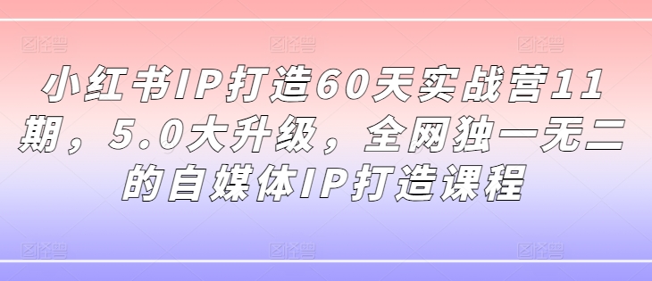 小红书IP打造60天实战营11期，5.0大升级，全网独一无二的自媒体IP打造课程-闪越社