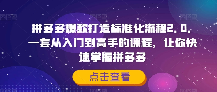 拼多多爆款打造标准化流程2.0，一套从入门到高手的课程，让你快速掌握拼多多-闪越社