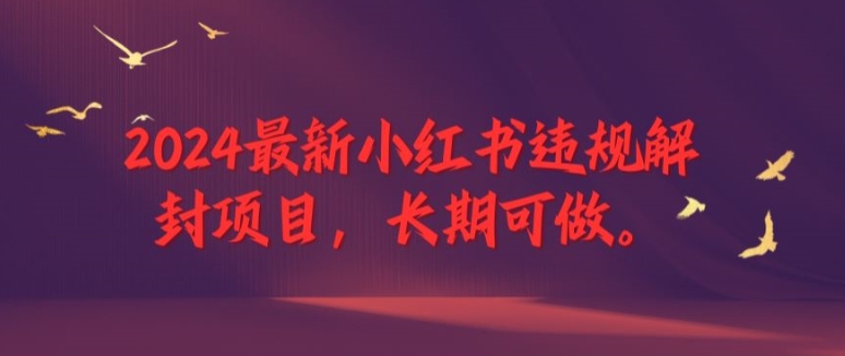 2024最新小红书违规解封项目，长期可做，一个可以做到退休的项目【揭秘】-闪越社