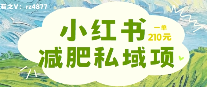 小红书减肥粉，私域变现项目，一单就达210元，小白也能轻松上手【揭秘】-闪越社