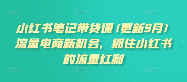 小红书笔记带货课(更新9月)流量电商新机会，抓住小红书的流量红利-闪越社