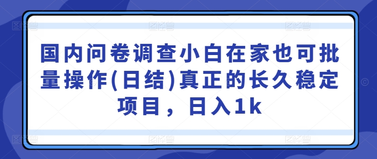 国内问卷调查小白在家也可批量操作(日结)真正的长久稳定项目，日入1k【揭秘】-闪越社